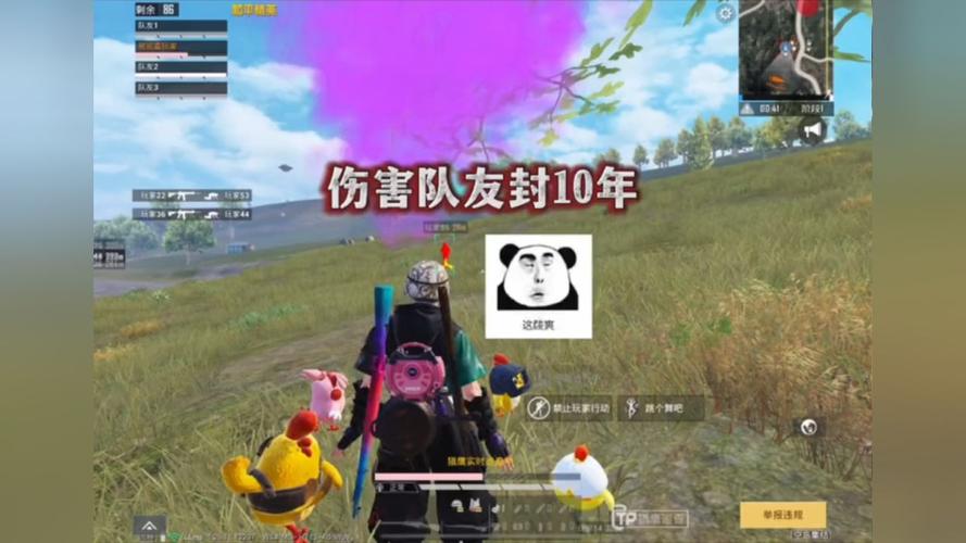 和平精英【EAD内部】辅助